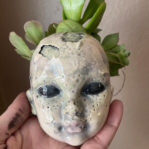 May include: A unique doll head planter with a distressed, aged appearance. The ceramic head features dark eyes and a cracked surface, with a succulent plant sprouting from the top. The planter is a creative piece for home decor.