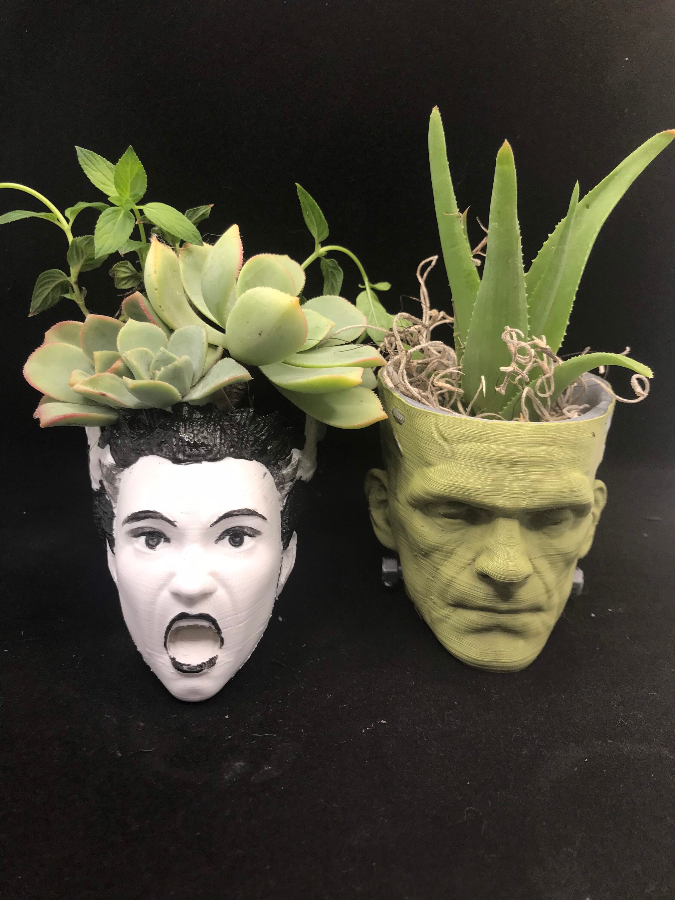 Frankenstein planter