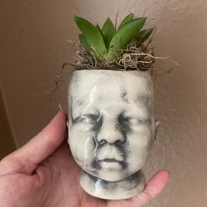 以下が含まれることがあります： 小さな緑色の多肉植物が植えられた、赤ちゃんのかたちの白い陶器製のプランター