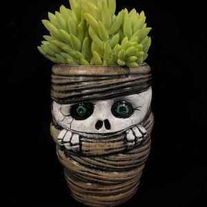 May include: A ceramic planter shaped like a mummy with green eyes and a skull face. The planter is wrapped in brown bandages and has a succulent plant growing inside.