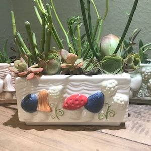 May include: Three white ceramic planters with a mushroom and wave design. The planters are filled with succulents and other green plants.