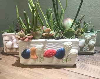 Maceta de setas caprichosa rectangular