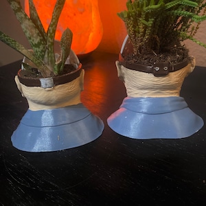 Puede incluir: Dos macetas de cer&aacute;mica azul y blanca con forma de cabeza humana, con plantas verdes que crecen en la parte superior. Las macetas est&aacute;n sobre una superficie de madera oscura.