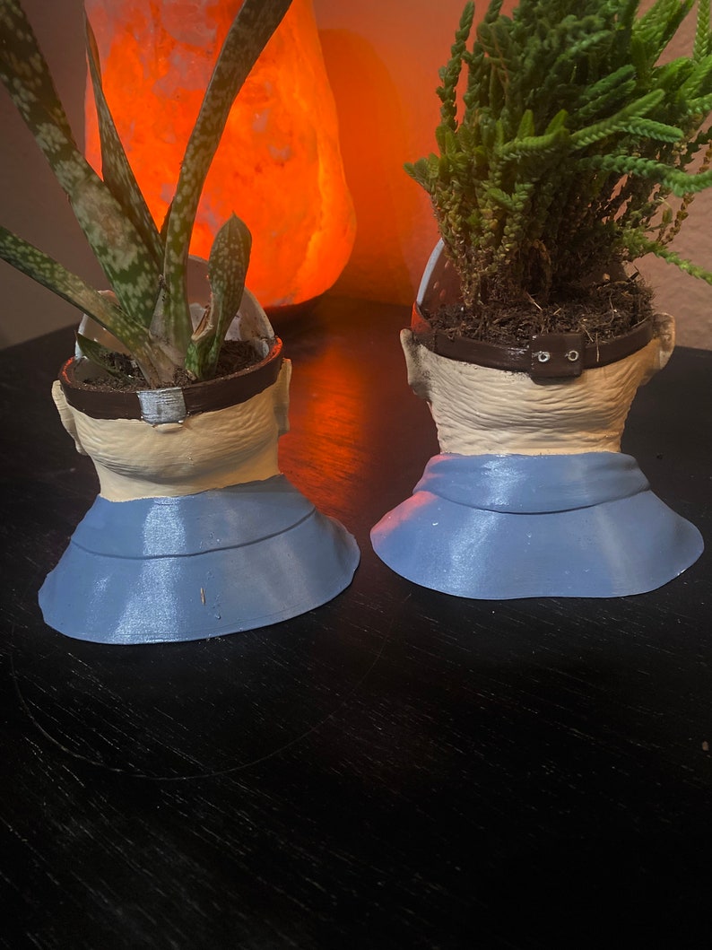 Puede incluir: Dos macetas de cer&aacute;mica azul y blanca con forma de cabeza humana, con plantas verdes que crecen en la parte superior. Las macetas est&aacute;n sobre una superficie de madera oscura.