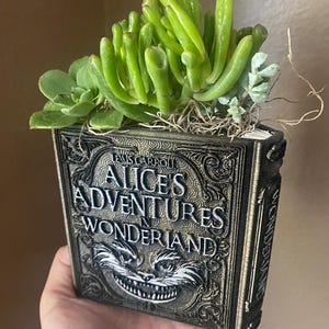 Alice im Wunderland Blumentopf