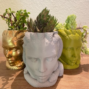 3D Gedruckter Medusa Pflanzer: Grün, Grau und Gold