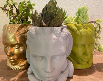 3D Printed Medusa Planter: Green, Grey and gold