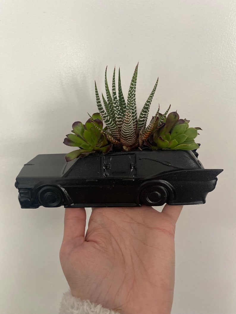 May include: A black car-shaped planter with a variety of succulents growing inside. The planter is made of ceramic and has a glossy finish.