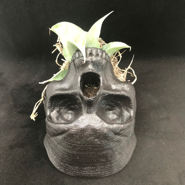 Skull mouth planter