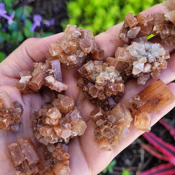 Mini Brown Aragonite Star Clusters .6"-1.5" (16-38mm) ~ Choose Your Piece ~ Crystal Stalactite ~ Natural Chocolate Mineral Stone ~ Colombia