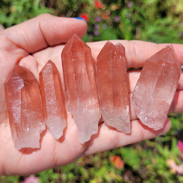 Rare Red Scarlett Lemurians ~ 5 Piece Sets ~ Lemurian Seed Quartz Crystal ~ Gemstone ~ Ancient Lemuria ~ Diamantina Minas Gerais Brazil