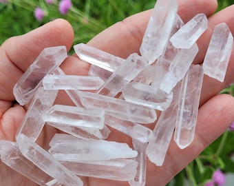 Set of 10, 20, or 100 Small Clear Quartz Points ~ Raw Shards ~ Crystal Gridding ~ Jewelry ~ Crafts