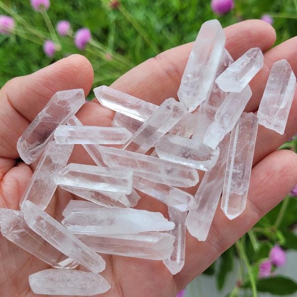 Set of 10, 20, or 100 Small Clear Quartz Points ~ Raw Shards ~ Crystal Gridding ~ Jewelry ~ Crafts