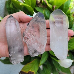 Medium Chlorite Lemurian Seed Points + Clusters 3"-4.5" ~ Choose Your Piece ~ Black Clear Phantom Quartz Crystal ~ Lodolite ~ Garden
