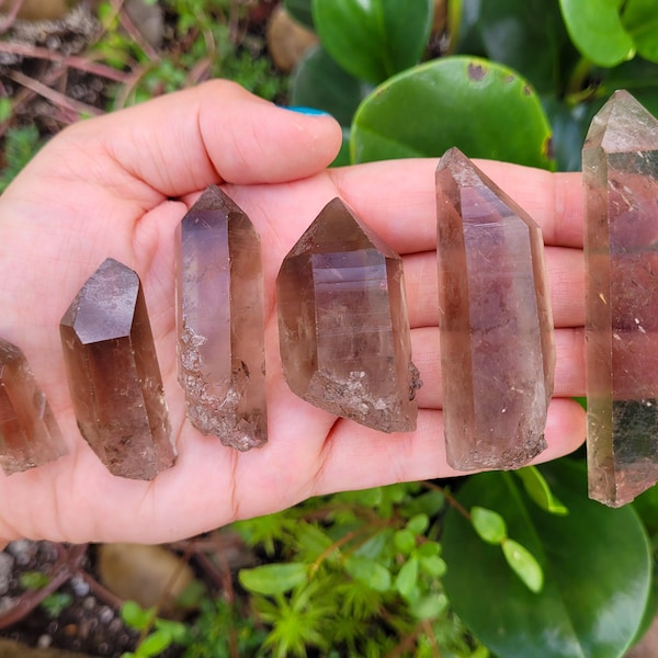 Smoky Lemurian Quartz Points ~ Choose Your Size ~ 1.25"-3.5" ~ Brazil ~ Raw ~ Natural ~ Genuine Lemurian Seed ~ Powerful Cleansing