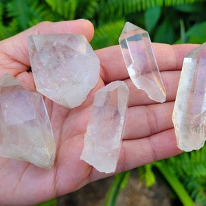 Himalayan Quartz Points ~ Choose Your Piece ~ Clear Crystal ~ Kullu, India ~ H-23-27