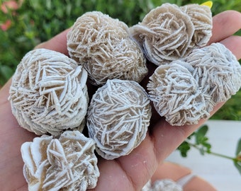 Desert Rose 1.75&quot;-2&quot; ~ Selenite ~ Gypsum ~ Large Beautiful Pieces