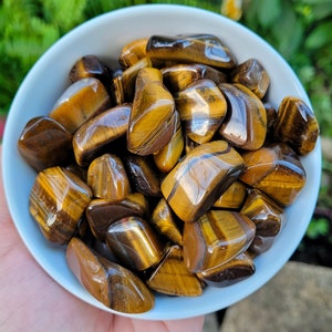Small Bulk Gold Tigers Eye Crystals, 5, 10, or 20pc Sets Available, Tiger Eye Stone, Tumbled Stones, Healing Stones, Crystals Bulk Wholesale
