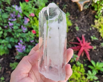May include: A large, clear quartz crystal with a double termination. The crystal is smooth and polished, with visible internal inclusions. The crystal is held in a hand, with a blurred background of green foliage.