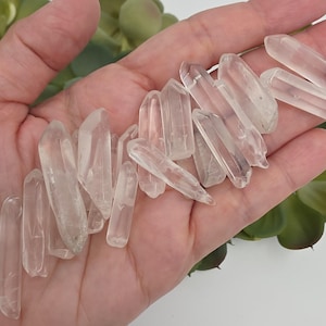 Puede incluir: Una colección de puntas de cristal de cuarzo transparente. Los cristales son transparentes y varían en tamaño y forma, con extremos puntiagudos. Los cristales se sostienen en una mano, con una planta verde en el fondo.