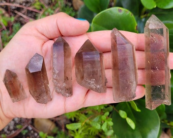 May include: Seven smoky quartz crystal points of varying sizes, with a natural, raw finish, held in a hand.