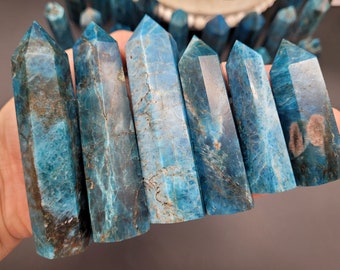 Könnte beinhalten: Sechs blaue Apatit-Kristallspitzen mit natürlichen Farb- und Texturvariationen. Die Kristalle haben eine lebendige türkisblaue Farbe mit braunen und weißen Einschlüssen. Die Kristalle sind in einer Reihe angeordnet, mit weiteren Kristallen im Hintergrund.