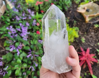 May include: A large, clear quartz crystal with a pointed tip and a rough, natural base. The crystal is held in a hand against a blurred background of green foliage and purple flowers.