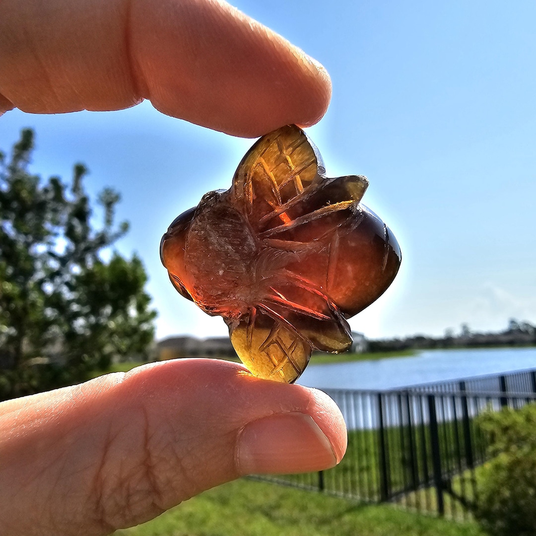 Genuine Amber Bee Carving From Kalimantan Indonesia 1.4