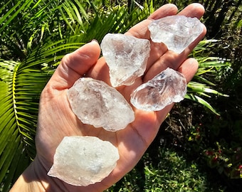 Clear Quartz Crystal ~ Rough ~ Choose 3, 5, or 10 pc sets ~ Arkansas USA ~ Bulk Healing Crystals Genuine Gemstones