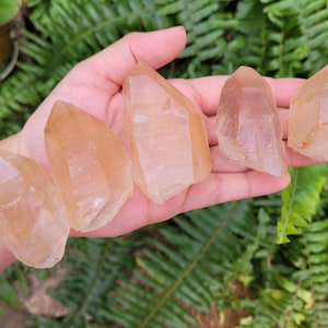 Tangerine Lemurian Seeds ~ TQP5-9 ~ Choose Your Piece ~ Natural Quartz Point ~ Citrine ~ Brazil