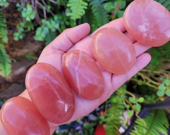 Piedras de palma de calcita rosa profunda - Elige tu tamaño - Calcita rosa