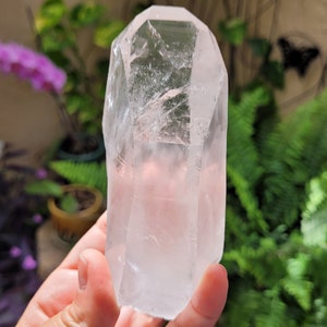 Lemurian Seed ~ LQ25 ~ Natural Clear Quartz Point ~ Brazil