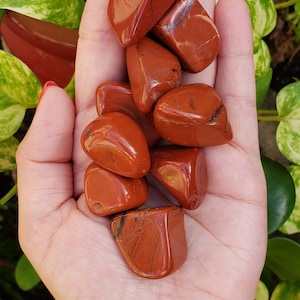 Bulk Red Jasper Stones, 3, 5, or 10pc Sets Available, Root Chakra Grounding Crystal Loose Red Jasper Crystal Ocean Jasper Wholesale Crystals