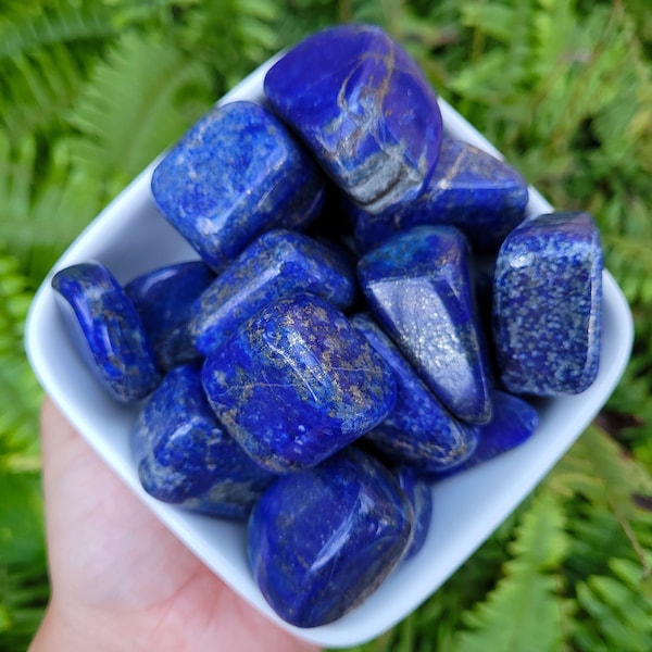 Lapis Lazuli Polished Stones ~ 1"-1.5" ~ Pakistan ~ Tumbled Stone ~ Blue Tumbles