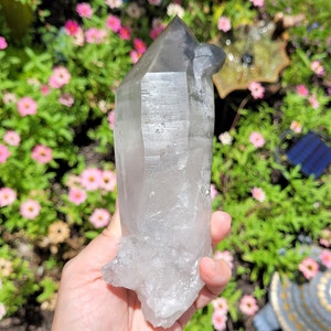 7" Chlorite Lemurian Seed Point 1lb 6oz (633g) ~ Black Clear Phantom Quartz Crystal ~ Lodolite ~ Garden