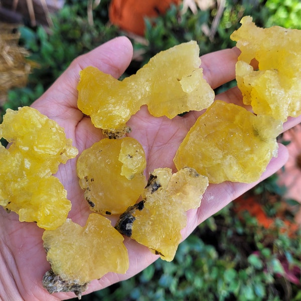 Yellow Brucite Specimens, Mineral Crystal Cluster Druzy Gemstone Stone Rock, Pakistan, Solar Plexus Chakra Reiki Meditation, Unique Gift