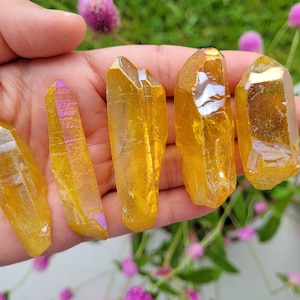 Yellow Aura Quartz Points, Set of 5, Bulk Crystals, Angel Aura Crystal, Quartz Crystal, Raw Mystic Aura Quartz, Crystal Gridding, Titanium