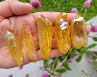 Yellow Aura Quartz Points, Set of 5, Bulk Crystals, Angel Aura Crystal, Quartz Crystal, Raw Mystic Aura Quartz, Crystal Gridding, Titanium