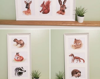 Watercolour British wildlife Art prints