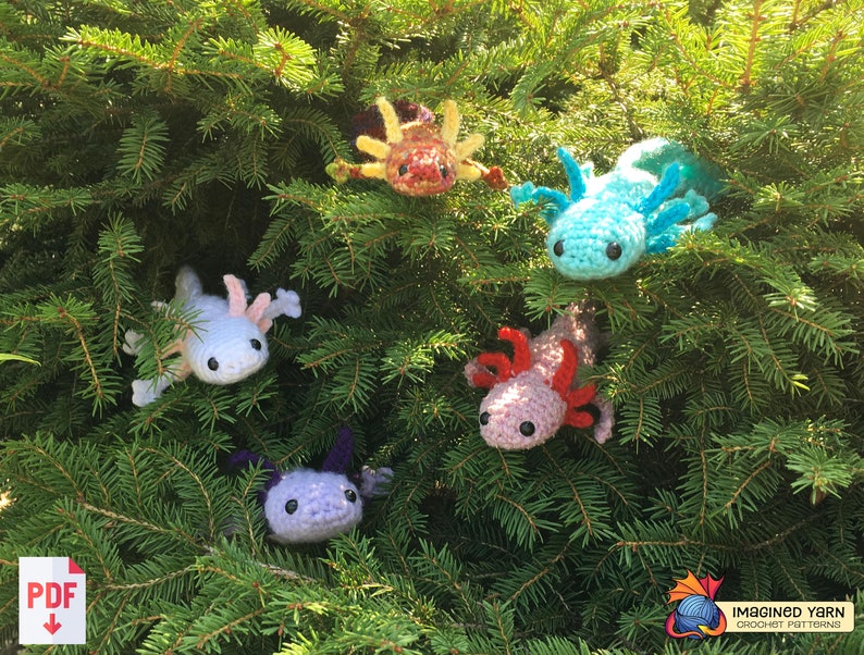 May include: Five crocheted axolotl plushies in different colors, including blue, pink, purple, white, and orange, are displayed on a green pine tree branch. The plushies have black eyes and are made with yarn.