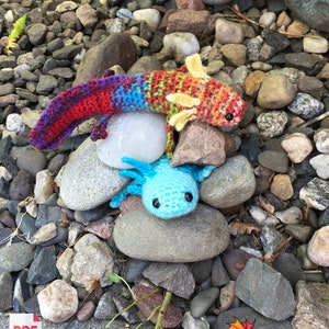 May include: Two crocheted axolotl plushies, one is rainbow colored and the other is blue, sitting on a bed of rocks.