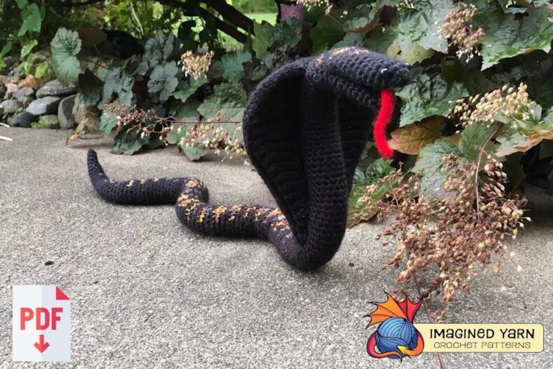 hooded cobra - Google Search  King cobra snake, Cobra snake, Cobra