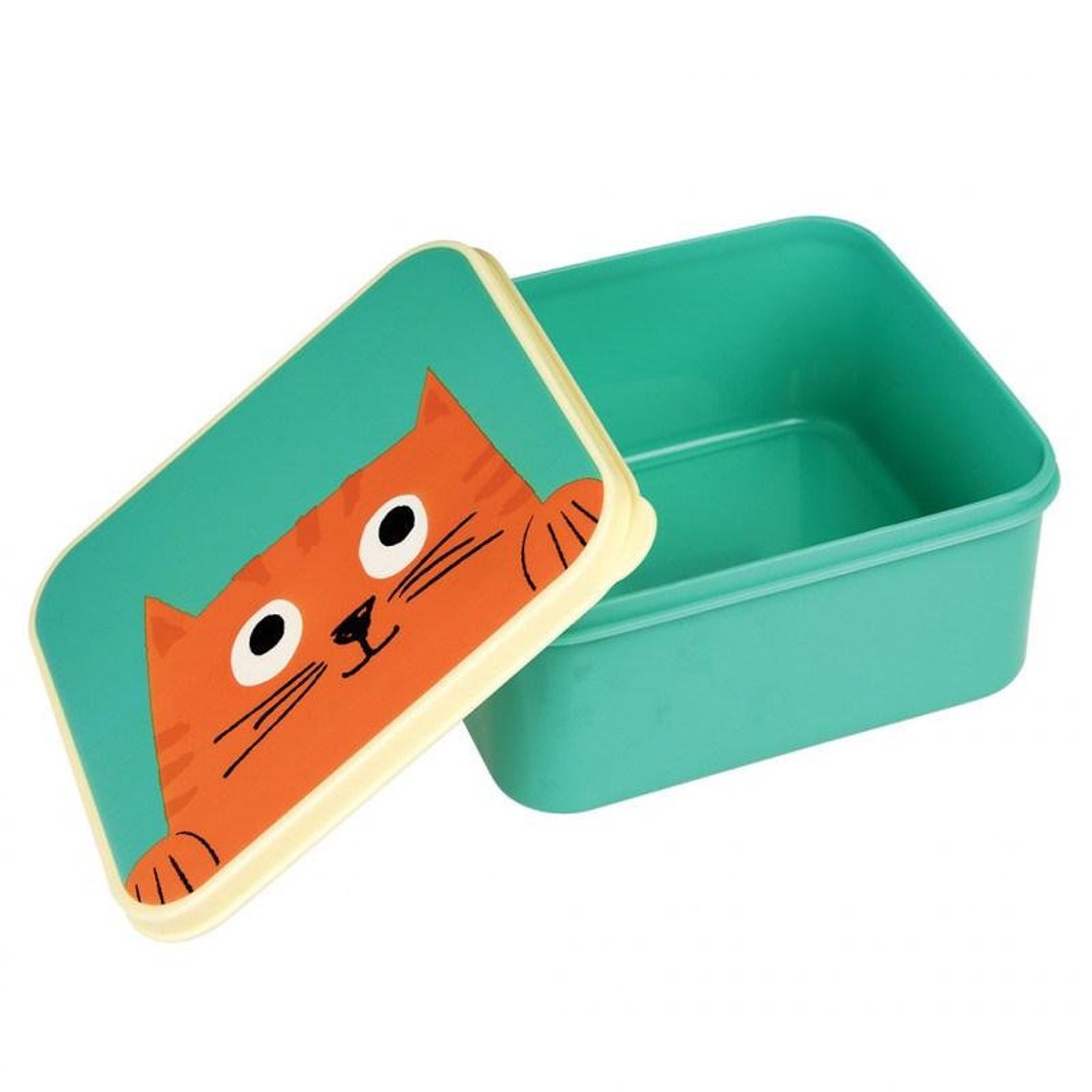 Chester the Cat Storage Box Cat Treat Box Etsy UK