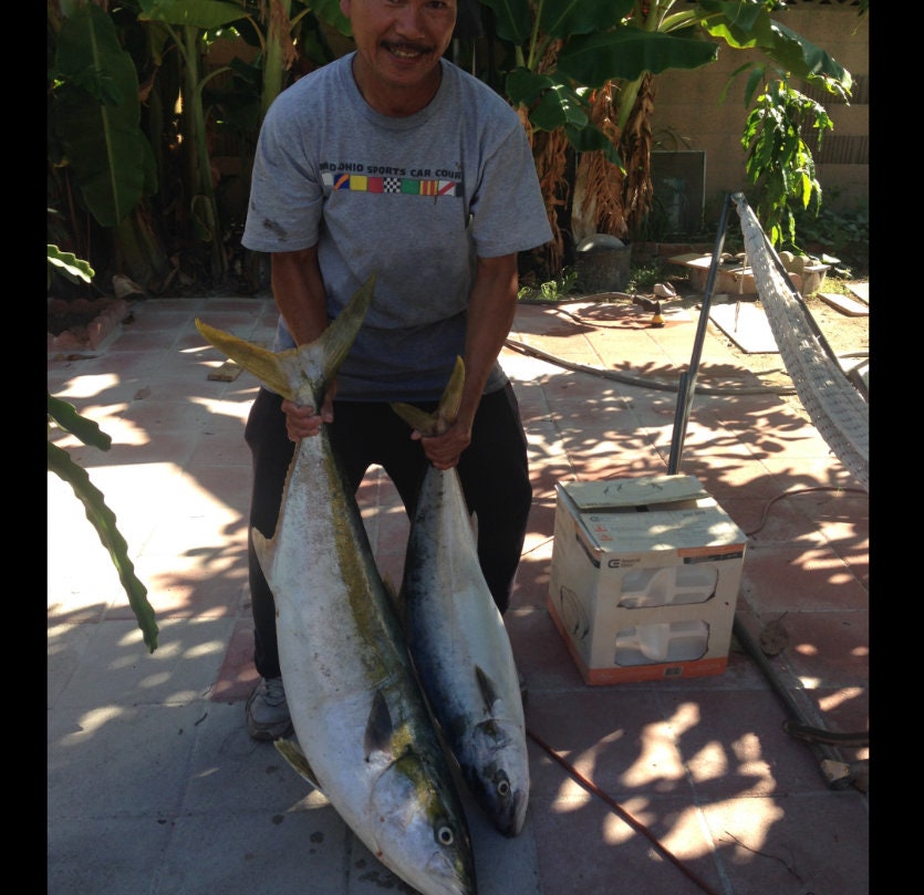 120LB Squid rig lure halibut redfish grouper salmon tuna Etsy