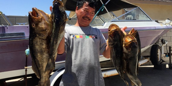 Ensemble de 2 leurre de pêche à la traîne flétan sébaste mérou saumon thon morue-lingue mahi thazard mequereau, pêche ou cadeau - Canada