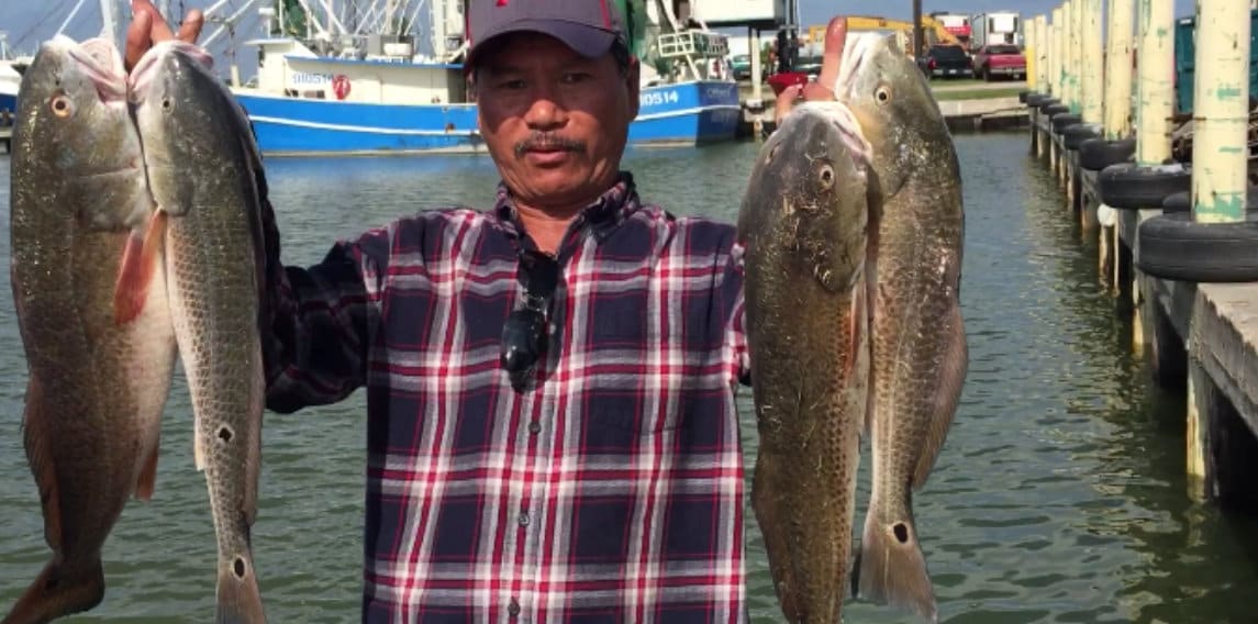 120LB Squid rig lure halibut redfish grouper salmon tuna Etsy