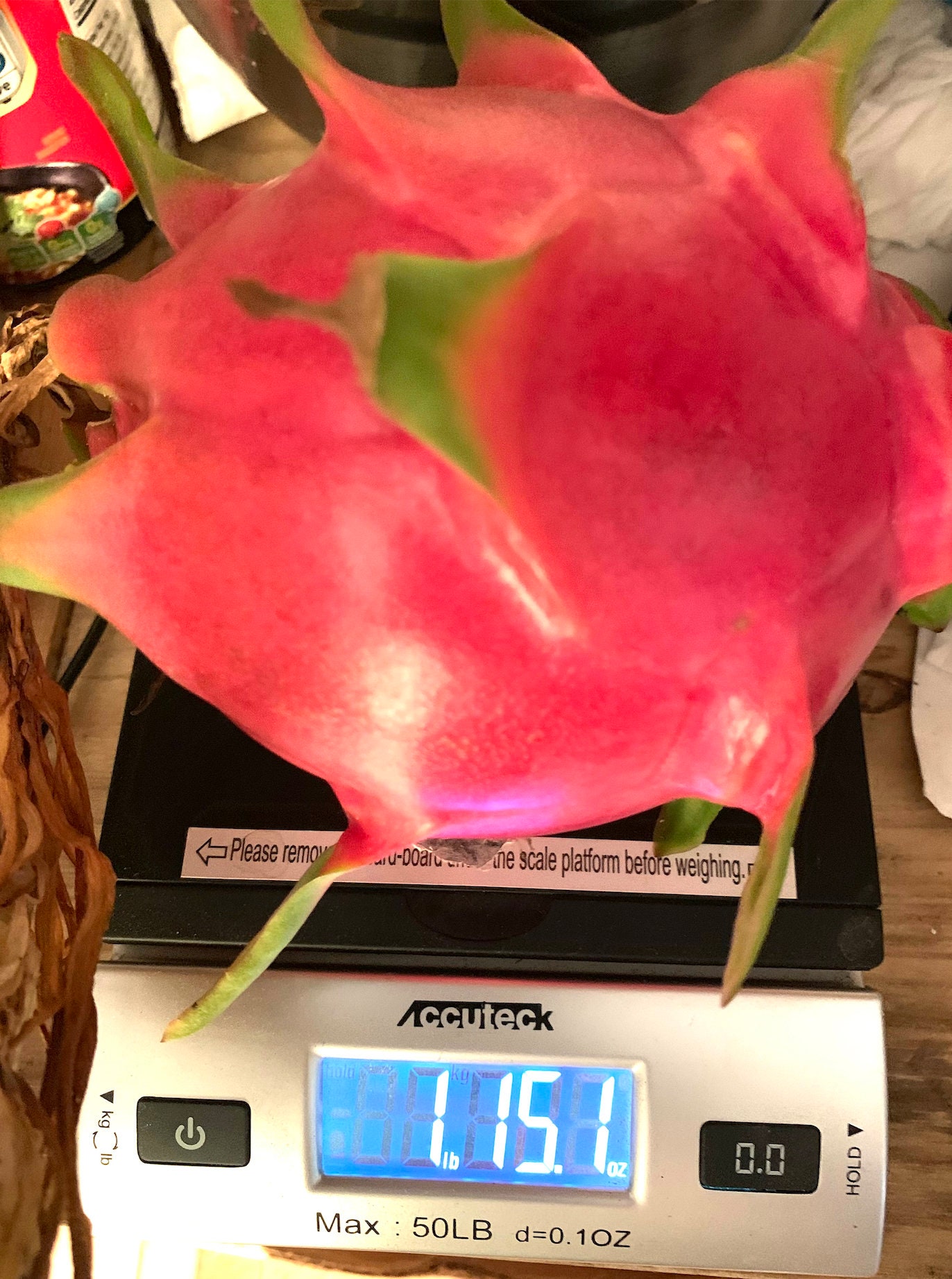 Dragon Fruit, large