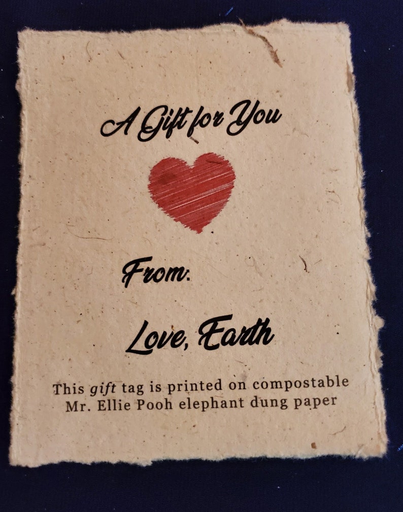 CAT-LOVER GIFT: Love Earth Now book wrapped in Abercrombie & Fitch cat scarf, furoshiki-style handcrafted bookmark image 7