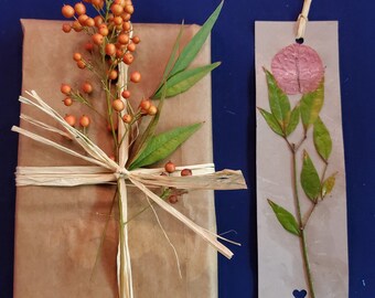 ECO-FRIENDLY GIFT: Compostable paper-wrapped, signed copy of Love Earth Now book with hand-crafted bookmark.