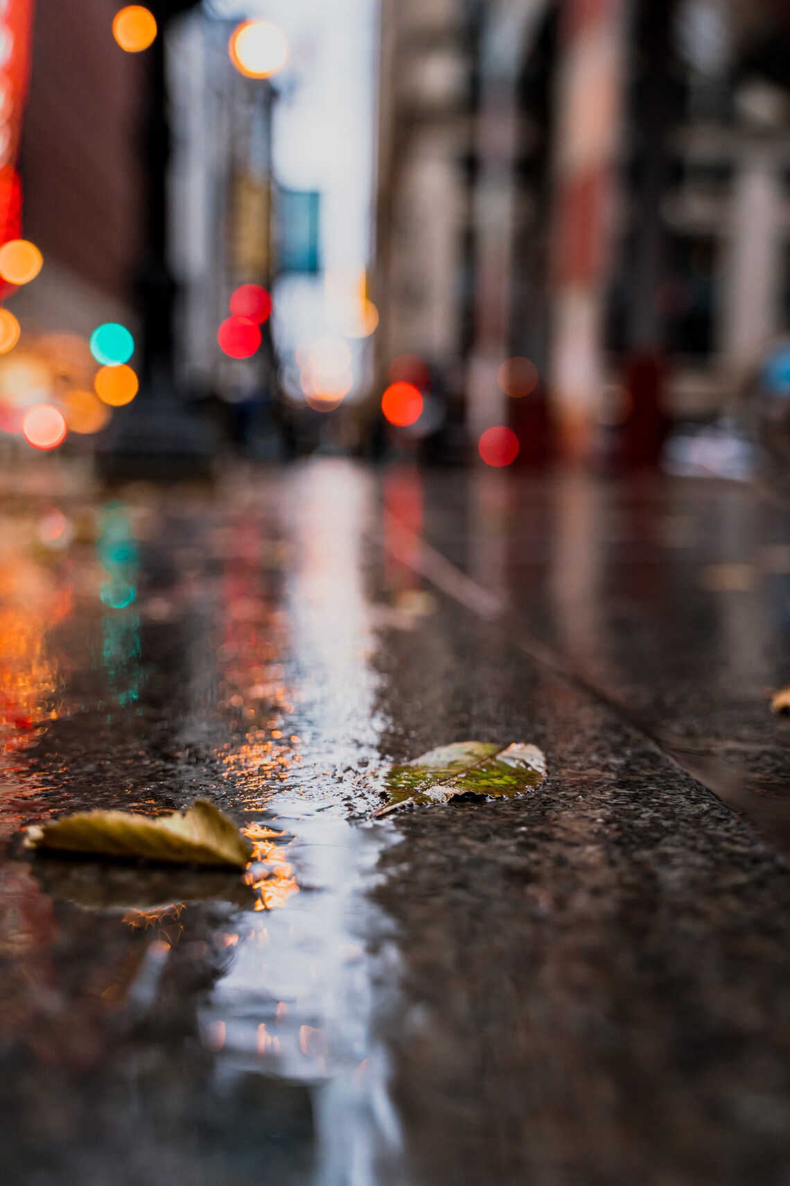 Chicago City Lights, Bokeh, Architecture, Chicago Photography, Wall Art